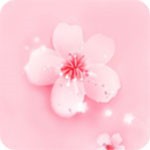魅影9.1直播app免费下载