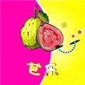 暖暖直播在线观看免费中文安卓版