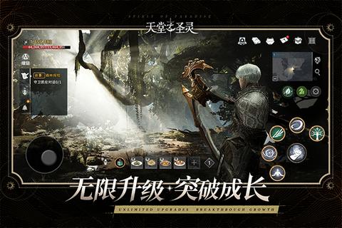 天堂之圣灵九游版1