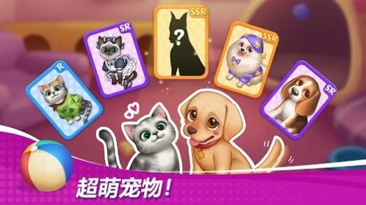 星厨奇迹最新版1