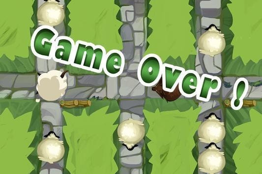 羊路危险Sheep and road0