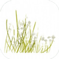 采野花_logo